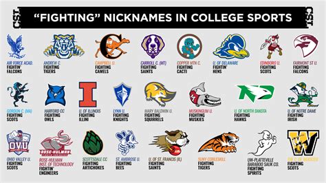 pro and college sports are fake
